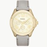 Fossil Cecile AM4529
