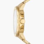 Fossil Bannon BQ2588