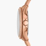 Fossil Cecile AM4483