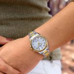 Festina Solar F20655/1
