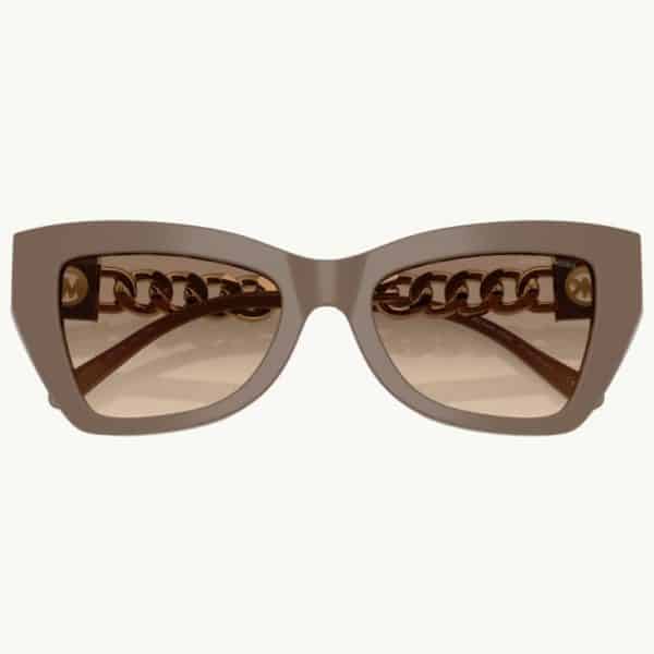 Michael Kors 2205 400313 52