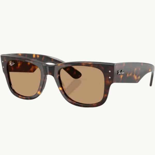 Ray-Ban 0840S 902/53 51