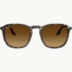Ray-Ban RB 2203 143185 52