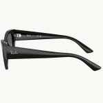 Ray-Ban 4430 667711 52