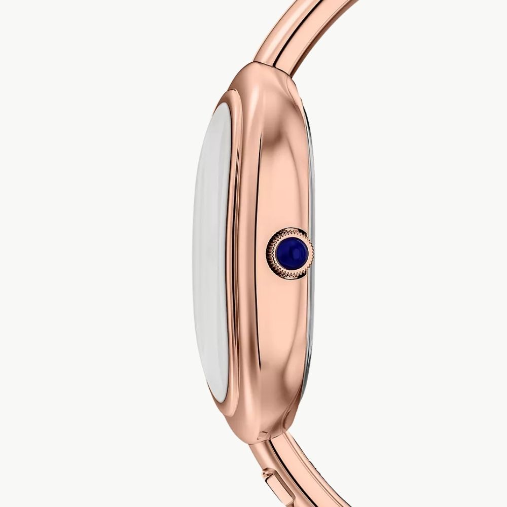 Fossil Sloan ES5472