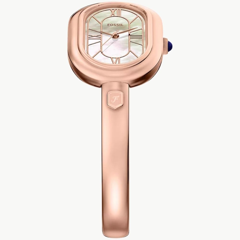 Fossil Sloan ES5472