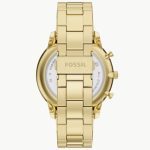 Fossil Neutra FS6164